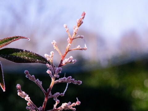 Extérieur — Résidence Clys